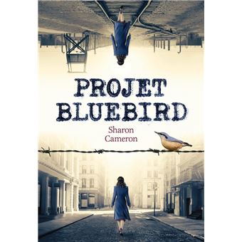 Projet Bluebird - 1