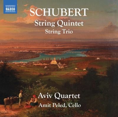 STRING QUINTET - STRING TRIO