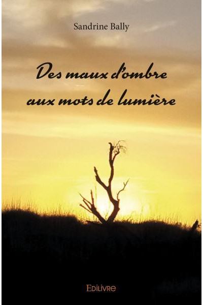 Des maux d'ombre aux mots de lumiere
