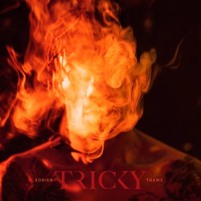 Adrian Thaws LP + CD