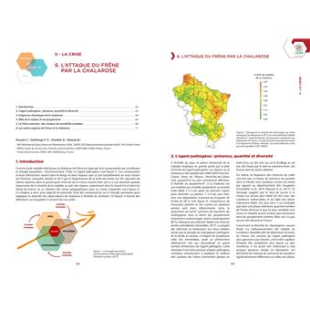 Le frene face a la chalarose