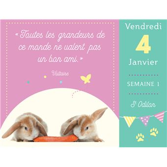 Almaniak 365 Jours Avec Les Anges 2023 - Calendrier 1 Page Spiritualité