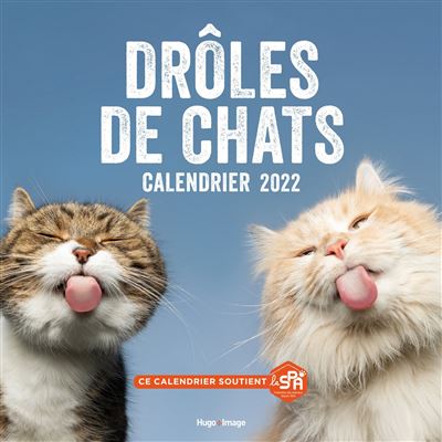 Calendrier Mural Droles De Chat 22 Broche Collectif Livre Tous Les Livres A La Fnac