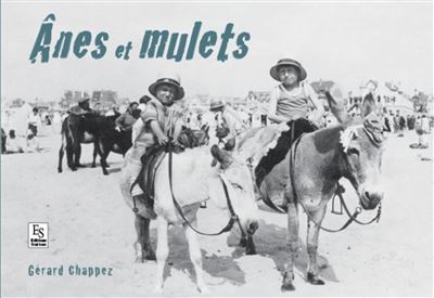 Ânes et mulets