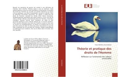 Theorie et pratique des droits de l'homme - reflexion sur l'