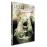 L'exorcisme de Molly Hartley DVD_0