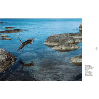 Dictionnaire amoureux des chats