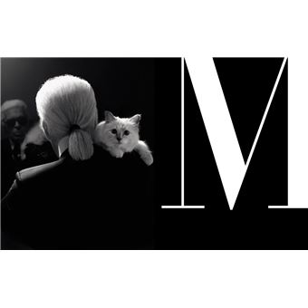 Dictionnaire amoureux des chats