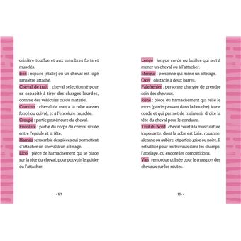 Le Galop des Etoiles - Le poulain surprise - Tome 5