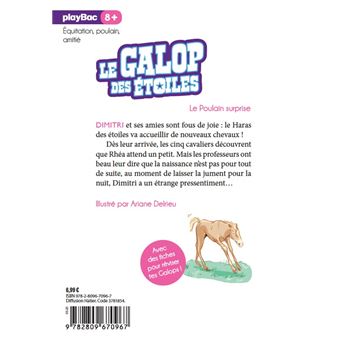 Le Galop Des Etoiles - Tome 1 - Le Galop des Etoiles - Un cheval pour  Ariana - Tome 1 - Naïma Zimmermann, Ariane Delrieu - broché - Achat Livre  ou ebook