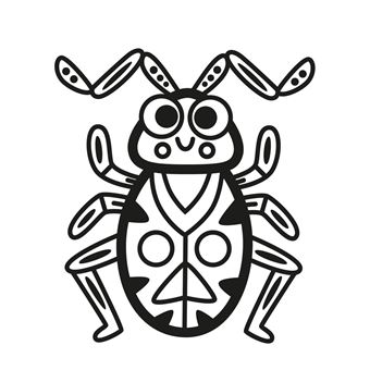 Les petites bêtes du jardin