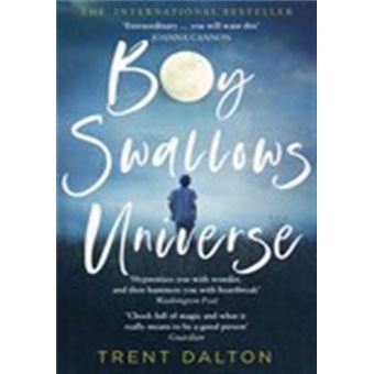 BOY SWALLOWS UNIVERSE