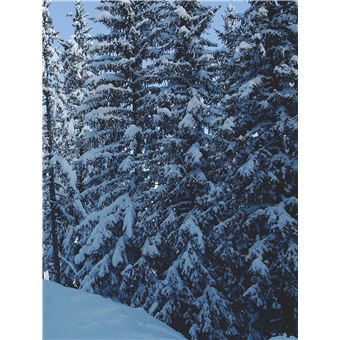 Le Chabichou Courchevel