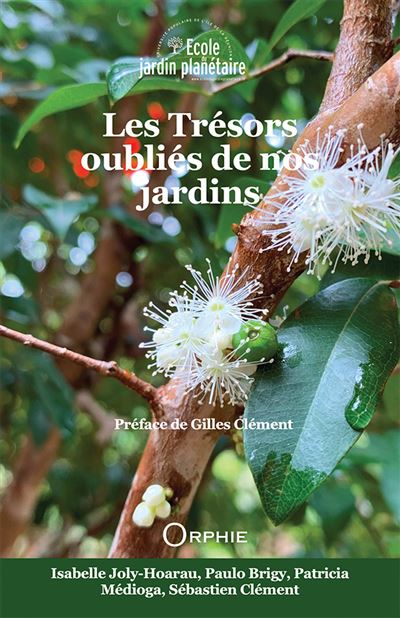 Les Trésors oubliés de nos jardins - Patricia Medioga - relié