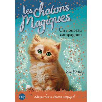 Les chatons magiques - numéro 19 Un nouveau compagnon
