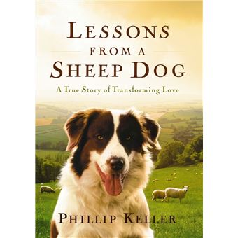 Lessons from a Sheep Dog - 1