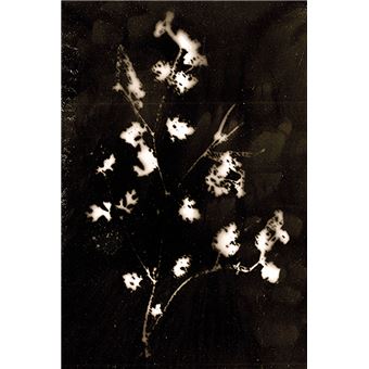 Tchernobyl Herbarium