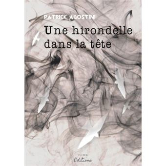 Une hirondelle dans la tête