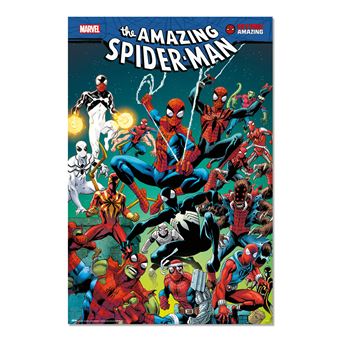 Poster Marvel Spider-Man Toile d'araignée
