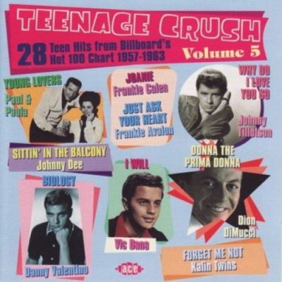 Teenage crush volume 5