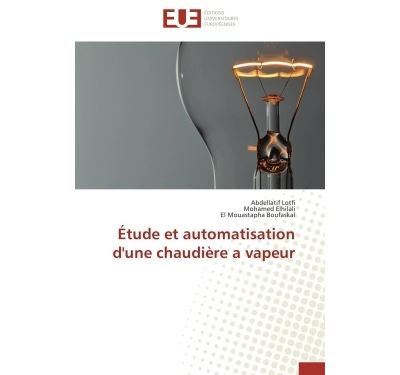 Étude et automatisation d'une chaudière a vapeur
