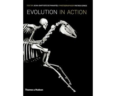 Evolution in Action: Natural History - アート/エンタメ