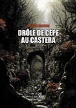 Drôle de cèpe au Castera