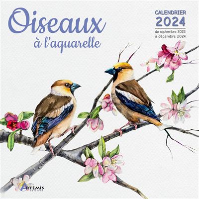 Calendrier mural Oiseaux grandeur nature 2024