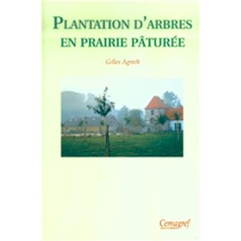 Plantation d'arbres en prairie pâturée