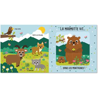 Mon p'tit Hemma : mes livres puzzles : les animaux - Collectif, Carotte Et  Compagnie - Hemma - Grand format - Raconte-moi la Terre (Bron) BRON