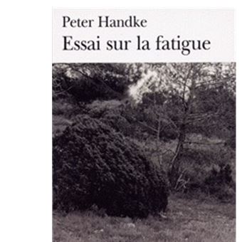 Essai sur la fatigue - 1