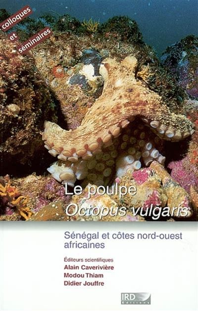 Le poulpe Octopus vulgaris