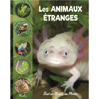 Les Animaux Etranges Et Meconnus Broche Collectif Achat Livre Fnac