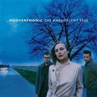 The Magnificent Tree