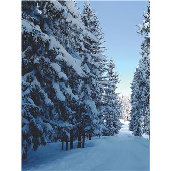 Le Chabichou Courchevel (version GB)