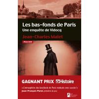 Les bas-fonds de Paris. Une enquête de Vidocq.