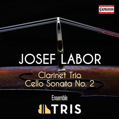 Trio avec clarinette Sonate pour violoncelle Numéro 2