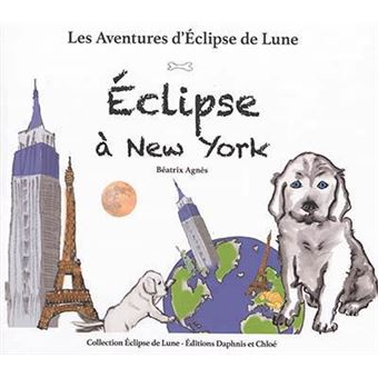 Éclipse à New York