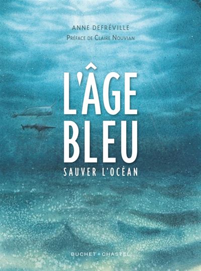 L'âge bleu - Anne Defréville - broché