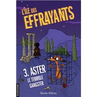 Lexpédition Burgess: Enigmae.com, tome 4 (French Edition)