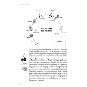 Les resineux,1:connaissance et reconnaissance