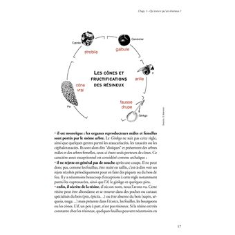 Les resineux,1:connaissance et reconnaissance