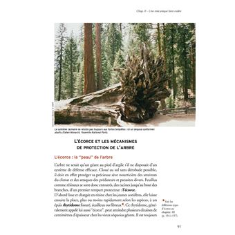 Les resineux,1:connaissance et reconnaissance