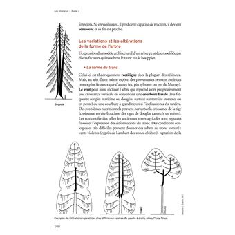Les resineux,1:connaissance et reconnaissance