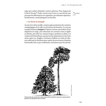 Les resineux,1:connaissance et reconnaissance