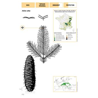 Les resineux,1:connaissance et reconnaissance