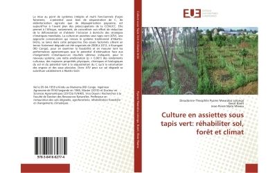 Culture en assiettes sous tapis vert