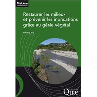 Restaurer les milieux et prévenir les inondations grâce au génie végétal