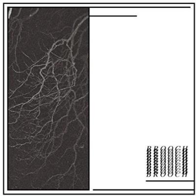 BLOOD SPITTING/LP