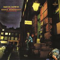 Rise & fall of Ziggy Stardust